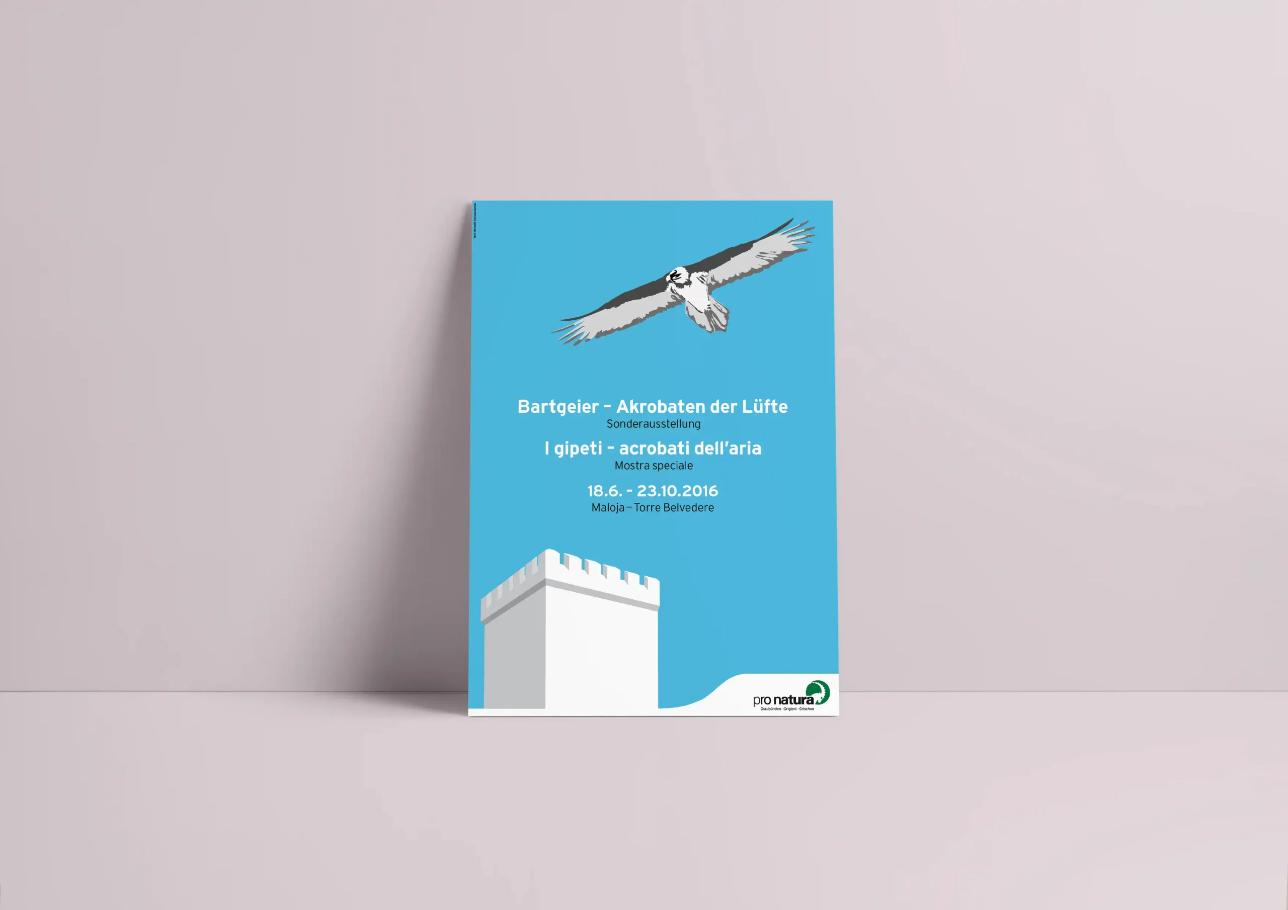 Plakat-Pro Natura Bartgeier Maloja–Torre Belvedere